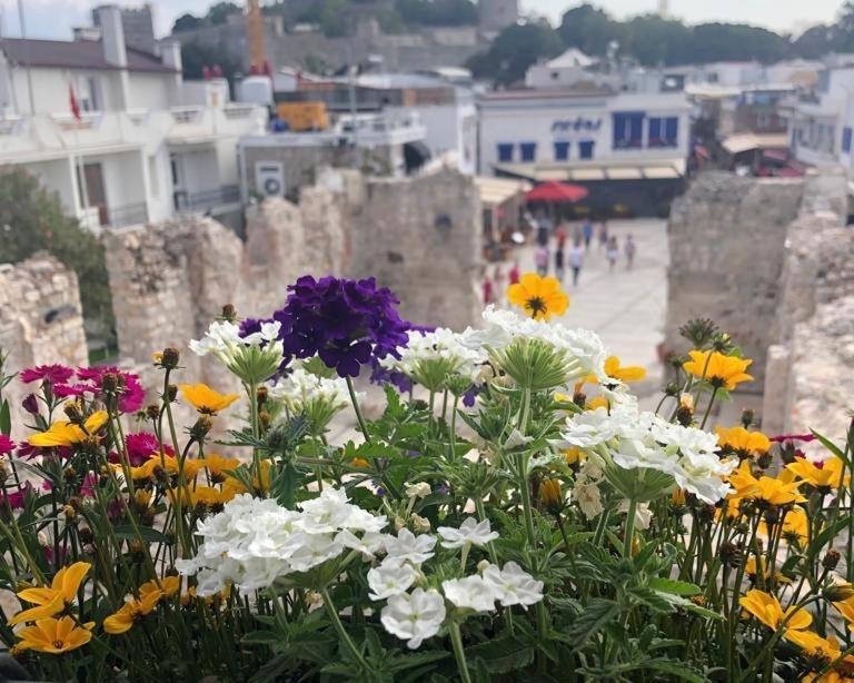 Houses Of Socrates - Manzara Lägenhet Bodrum Exteriör bild